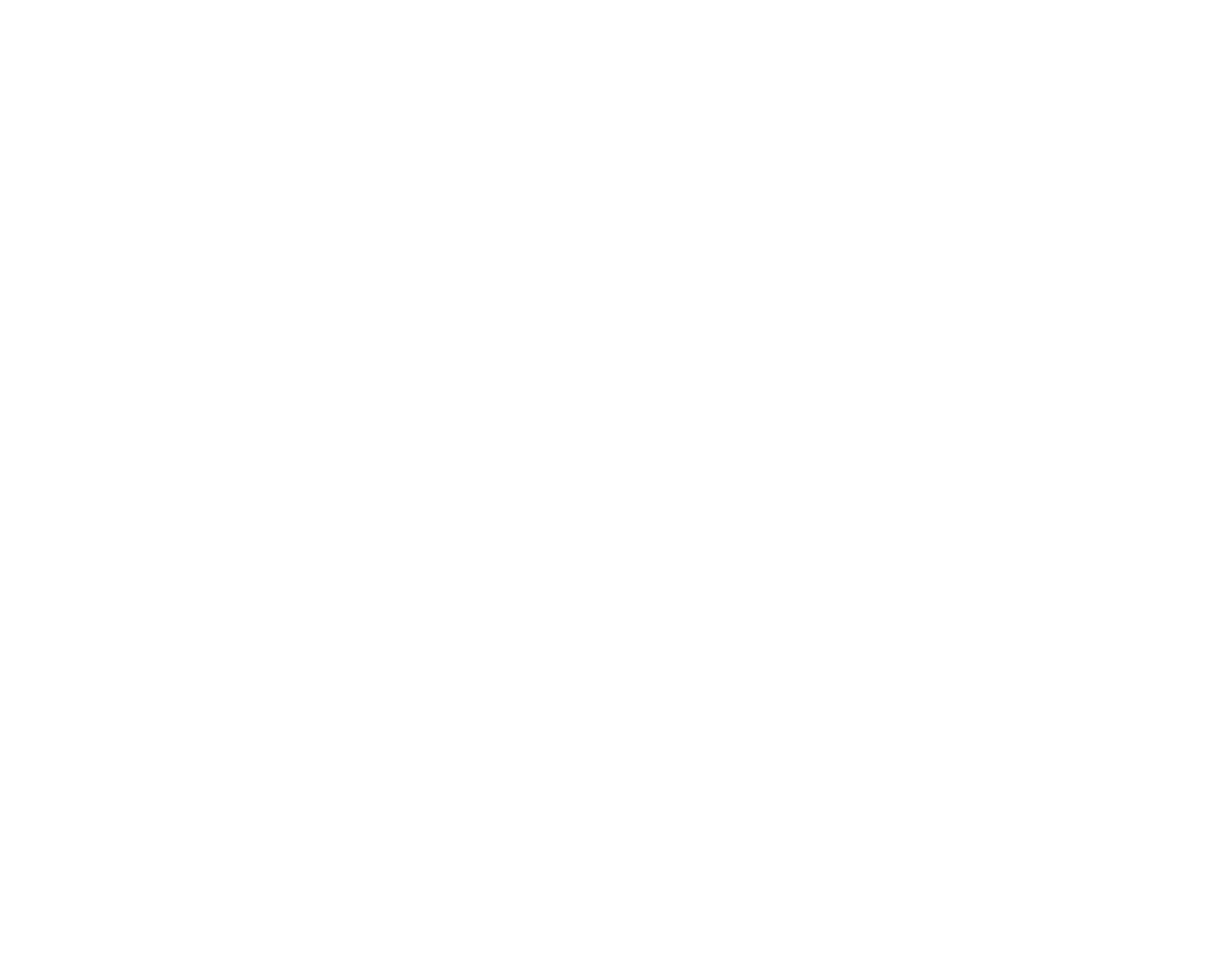logo Nicolò
